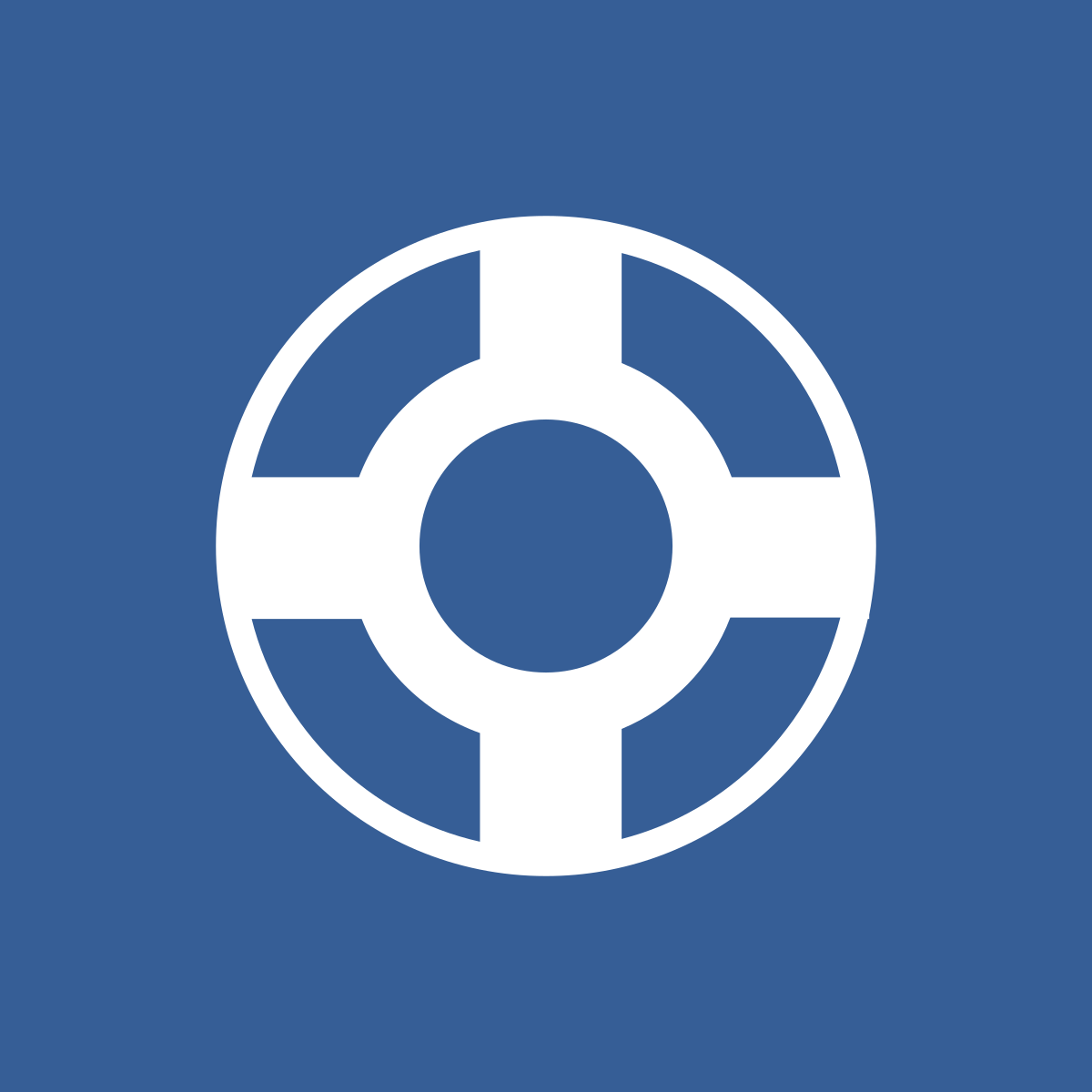 icon of life ring