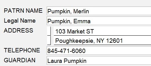 Screenshot of 5 patron record fields.