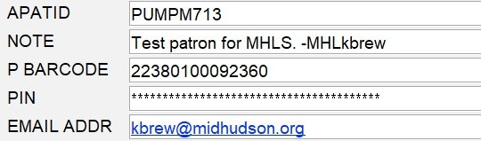 Screenshot of 5 patron record fields.