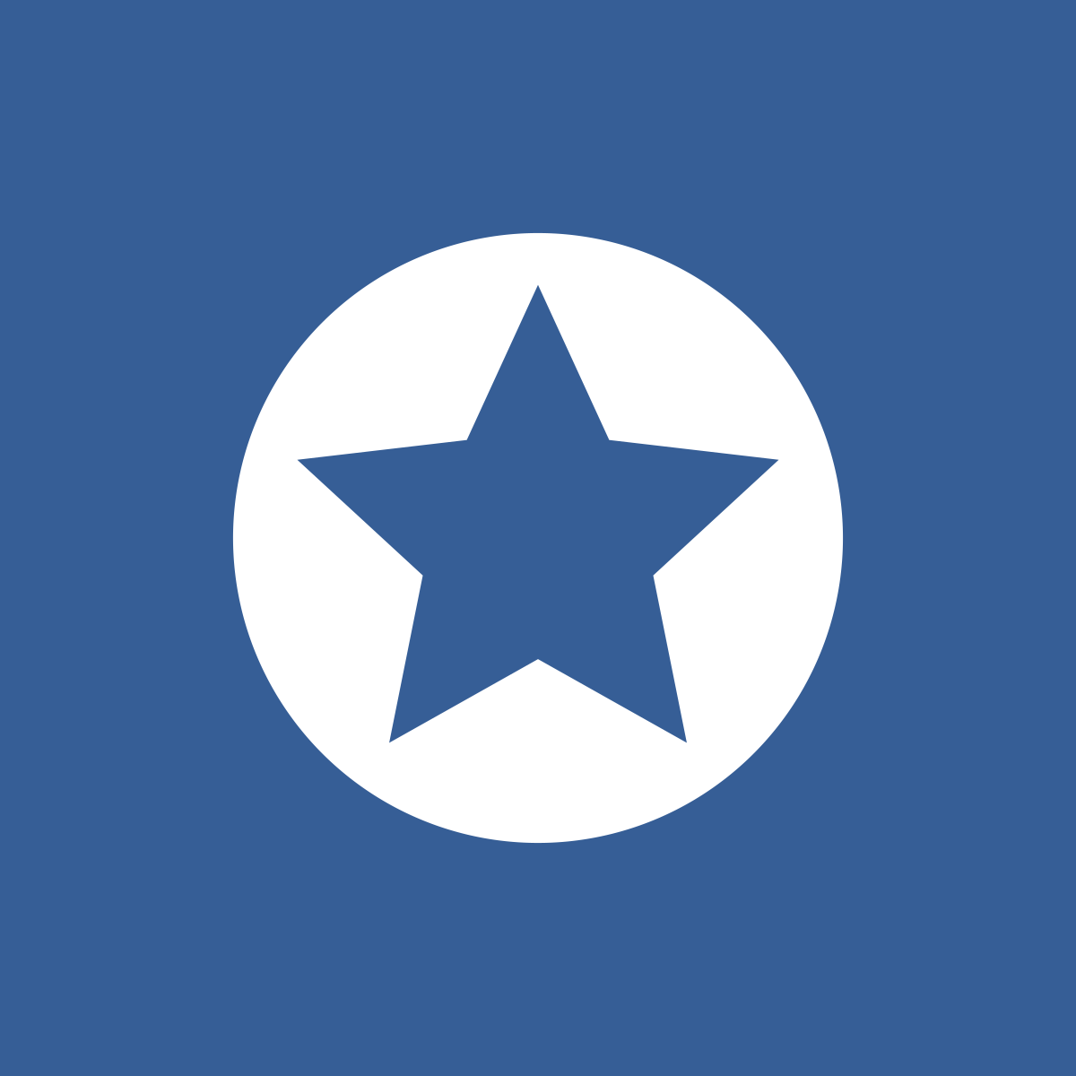 Icon of a white circle with a blue star in the middle